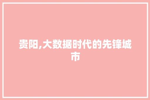贵阳,大数据时代的先锋城市