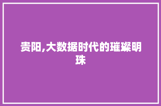 贵阳,大数据时代的璀璨明珠