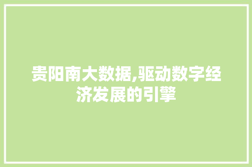 贵阳南大数据,驱动数字经济发展的引擎