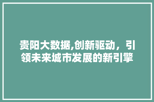 贵阳大数据,创新驱动，引领未来城市发展的新引擎