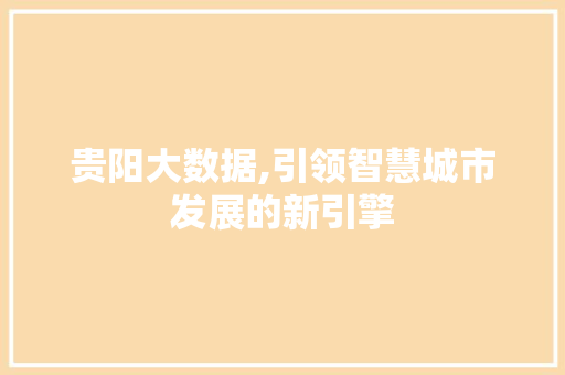 贵阳大数据,引领智慧城市发展的新引擎