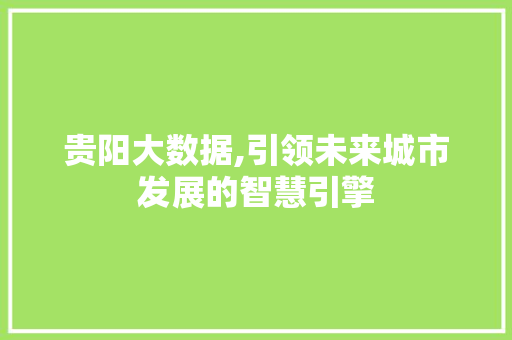 贵阳大数据,引领未来城市发展的智慧引擎