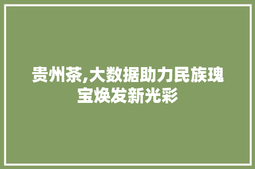 贵州茶,大数据助力民族瑰宝焕发新光彩