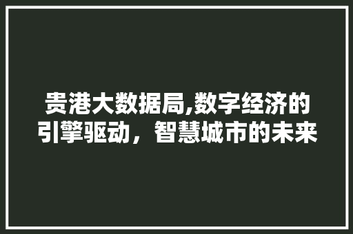 贵港大数据局,数字经济的引擎驱动，智慧城市的未来之光