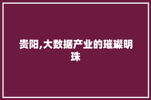 贵阳,大数据产业的璀璨明珠