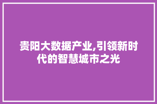 贵阳大数据产业,引领新时代的智慧城市之光
