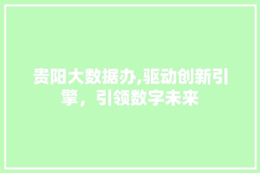 贵阳大数据办,驱动创新引擎，引领数字未来