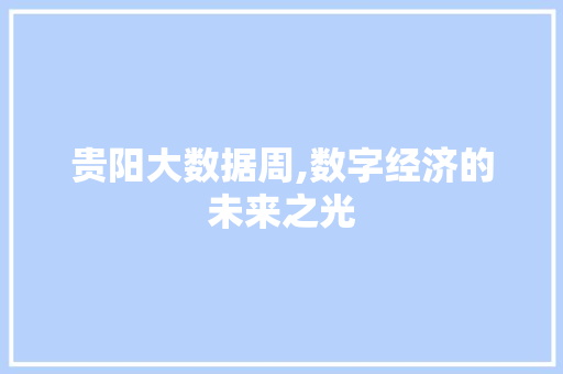贵阳大数据周,数字经济的未来之光