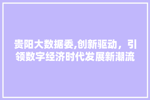 贵阳大数据委,创新驱动，引领数字经济时代发展新潮流