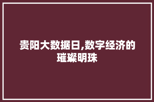 贵阳大数据日,数字经济的璀璨明珠
