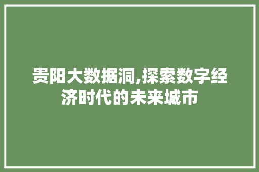 贵阳大数据洞,探索数字经济时代的未来城市