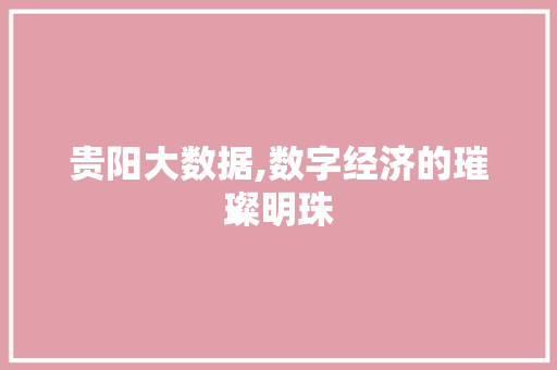 贵阳大数据,数字经济的璀璨明珠