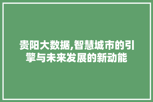 贵阳大数据,智慧城市的引擎与未来发展的新动能