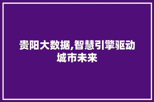 贵阳大数据,智慧引擎驱动城市未来