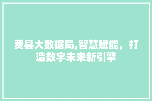费县大数据局,智慧赋能，打造数字未来新引擎