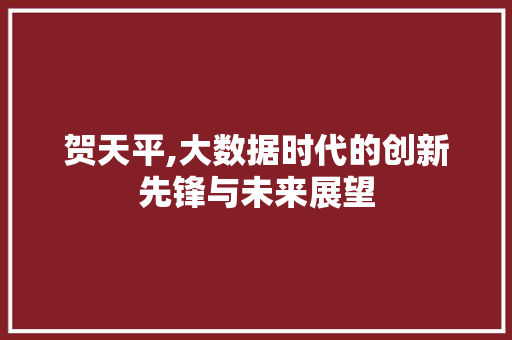 贺天平,大数据时代的创新先锋与未来展望
