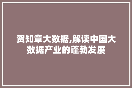 贺知章大数据,解读中国大数据产业的蓬勃发展