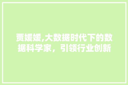 贾媛媛,大数据时代下的数据科学家，引领行业创新