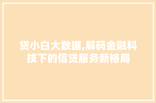 贷小白大数据,解码金融科技下的信贷服务新格局