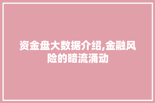 资金盘大数据介绍,金融风险的暗流涌动
