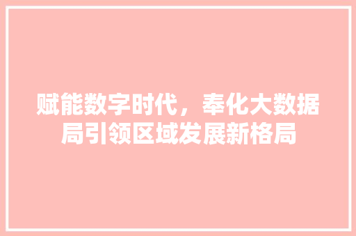 赋能数字时代，奉化大数据局引领区域发展新格局