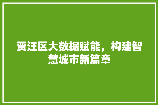 贾汪区大数据赋能，构建智慧城市新篇章