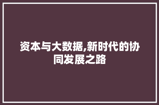 资本与大数据,新时代的协同发展之路