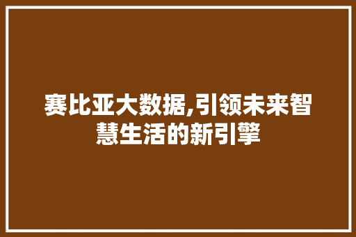 赛比亚大数据,引领未来智慧生活的新引擎 SEO关键词