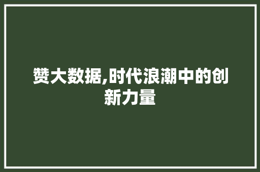 赞大数据,时代浪潮中的创新力量