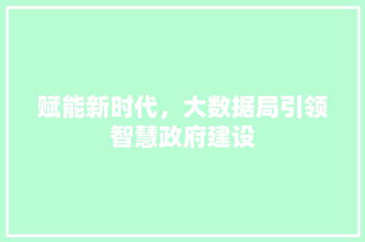 赋能新时代，大数据局引领智慧政府建设