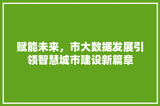 赋能未来，市大数据发展引领智慧城市建设新篇章