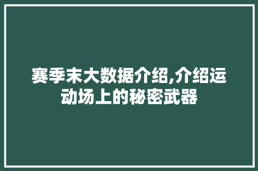 赛季末大数据介绍,介绍运动场上的秘密武器 SEO关键词