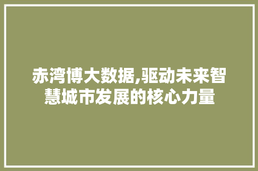 赤湾博大数据,驱动未来智慧城市发展的核心力量 必应SEO