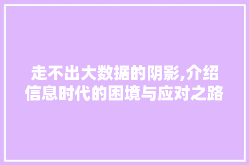 走不出大数据的阴影,介绍信息时代的困境与应对之路 百度SEO