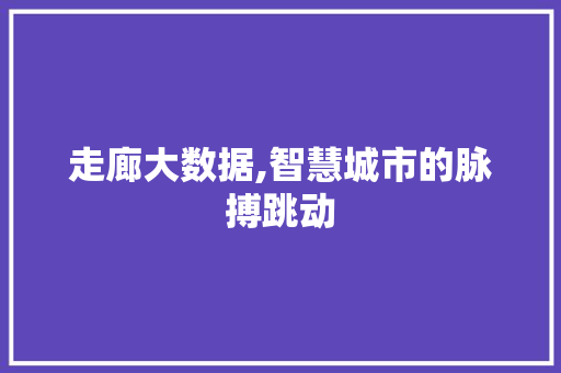 走廊大数据,智慧城市的脉搏跳动