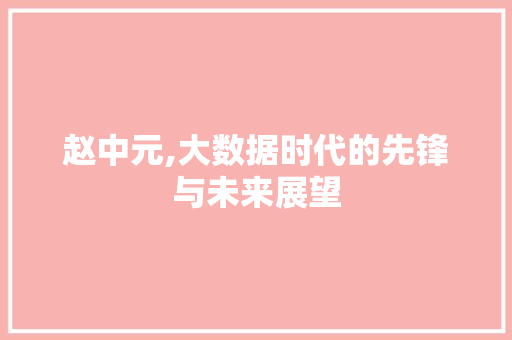 赵中元,大数据时代的先锋与未来展望