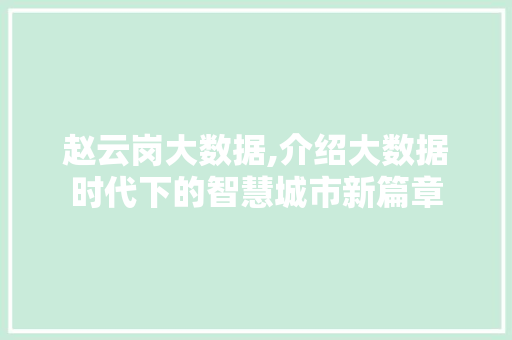 赵云岗大数据,介绍大数据时代下的智慧城市新篇章 网站建设公司