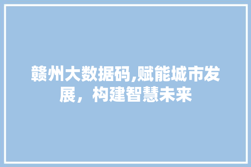 赣州大数据码,赋能城市发展，构建智慧未来