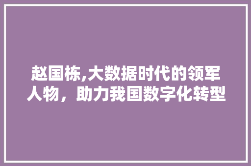 赵国栋,大数据时代的领军人物，助力我国数字化转型 神马SEO