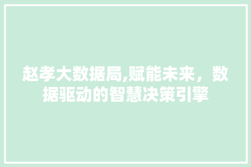 赵孝大数据局,赋能未来，数据驱动的智慧决策引擎