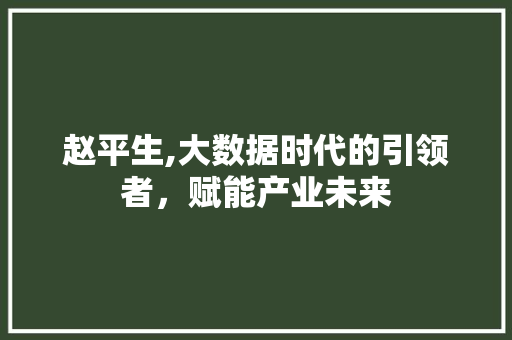 赵平生,大数据时代的引领者，赋能产业未来