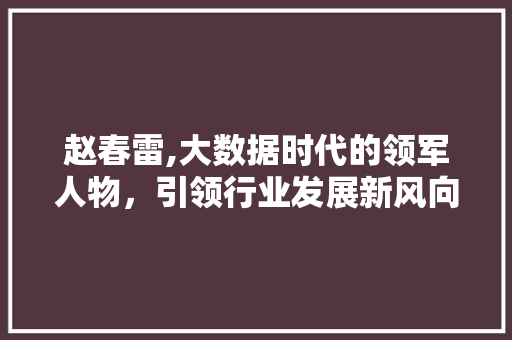 赵春雷,大数据时代的领军人物，引领行业发展新风向