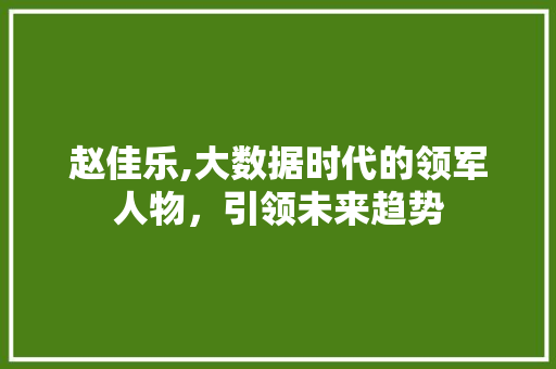 赵佳乐,大数据时代的领军人物，引领未来趋势