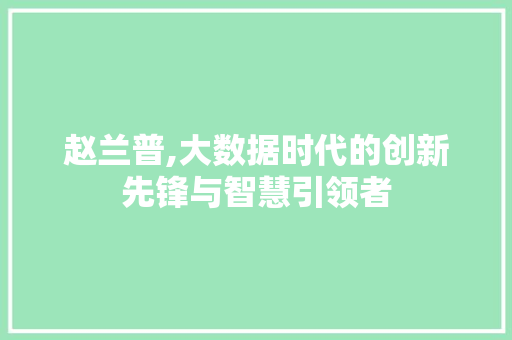 赵兰普,大数据时代的创新先锋与智慧引领者 网站建设公司