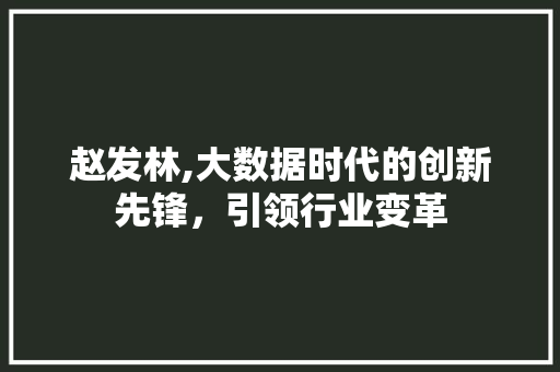 赵发林,大数据时代的创新先锋，引领行业变革 必应SEO