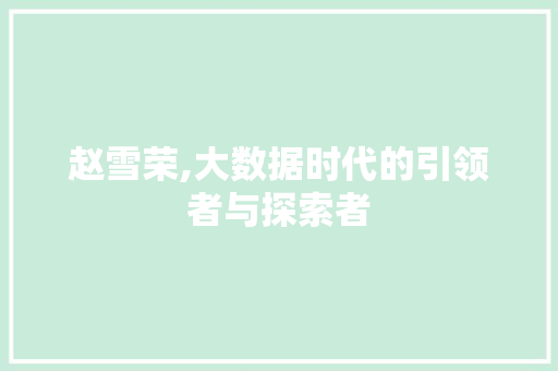 赵雪荣,大数据时代的引领者与探索者