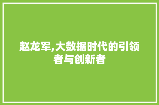 赵龙军,大数据时代的引领者与创新者