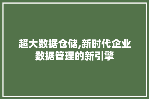 超大数据仓储,新时代企业数据管理的新引擎