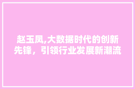 赵玉凤,大数据时代的创新先锋，引领行业发展新潮流