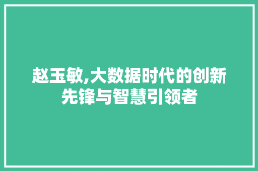 赵玉敏,大数据时代的创新先锋与智慧引领者